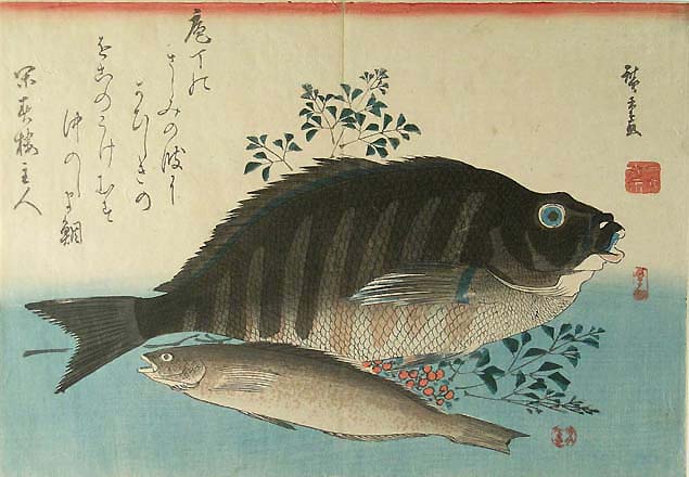 Hiroshige, greenling, grouper and 'nanten'